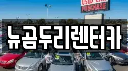 뉴곰두리렌터카