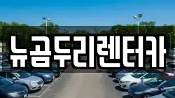 뉴곰두리렌터카