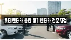 롯데렌터카 울산 장기렌터카 전문지점