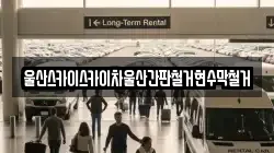 울산스카이스카이차울산간판철거현수막철거