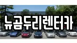 뉴곰두리렌터카