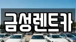 금성렌트카
