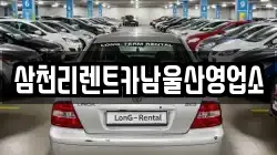 울산 남구 야음동 렌트카,단기렌트카,장기렌트카,중고차,중고차매매,중고차매입