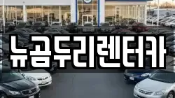 뉴곰두리렌터카