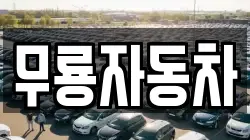 무룡자동차