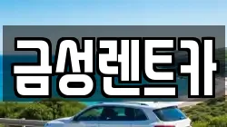 금성렌트카