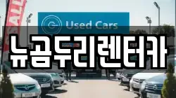 뉴곰두리렌터카