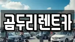 곰두리렌트카