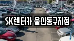울산 동구 화정동 렌트카,단기렌트카,장기렌트카,중고차,중고차매매,중고차매입