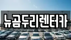 뉴곰두리렌터카