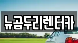 뉴곰두리렌터카