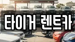 타이거 렌트카