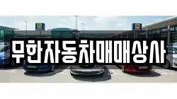 무한자동차매매상사