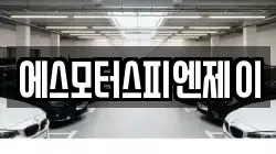 에스모터스피엔제이