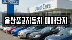 울산중고자동차 매매단지