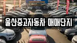 울산중고자동차 매매단지