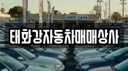 태화강자동차매매상사