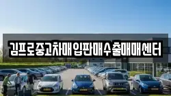 김프로중고차매입판매수출매매센터