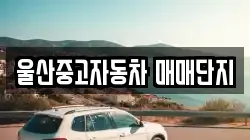 울산중고자동차 매매단지