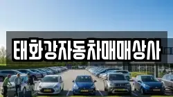 태화강자동차매매상사