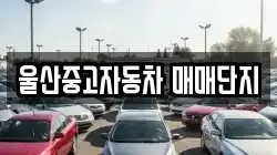 울산중고자동차 매매단지