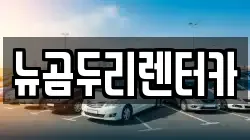 뉴곰두리렌터카