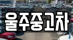 울산 울주군 두동면 렌트카,단기렌트카,장기렌트카,중고차,중고차매매,중고차매입