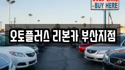 오토플러스 리본카 부산지점
