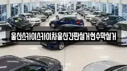 울산스카이스카이차울산간판철거현수막철거