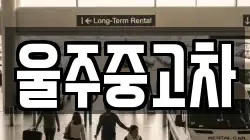 울주중고차