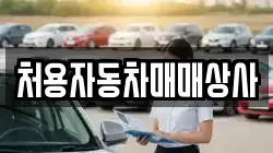 처용자동차매매상사