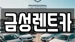 금성렌트카
