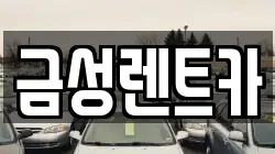 금성렌트카