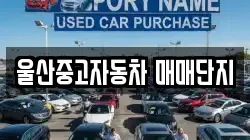 울산중고자동차 매매단지