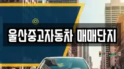 울산중고자동차 매매단지