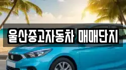 울산중고자동차 매매단지