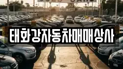 태화강자동차매매상사