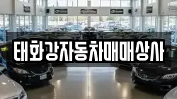 태화강자동차매매상사