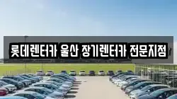 롯데렌터카 울산 장기렌터카 전문지점