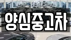 양심중고차