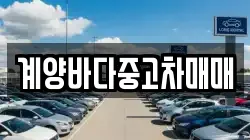 계양바다중고차매매