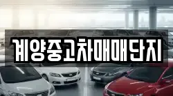계양중고차매매단지