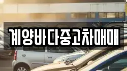계양바다중고차매매