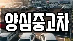 양심중고차