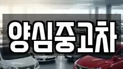 양심중고차