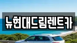 뉴현대드림렌트카
