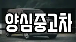 양심중고차
