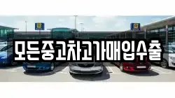 모든중고차고가매입수출
