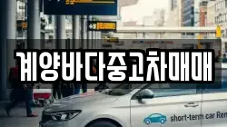 계양바다중고차매매