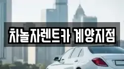 차놀자렌트카 계양지점